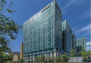 辽宁黑麦草草种种植方法